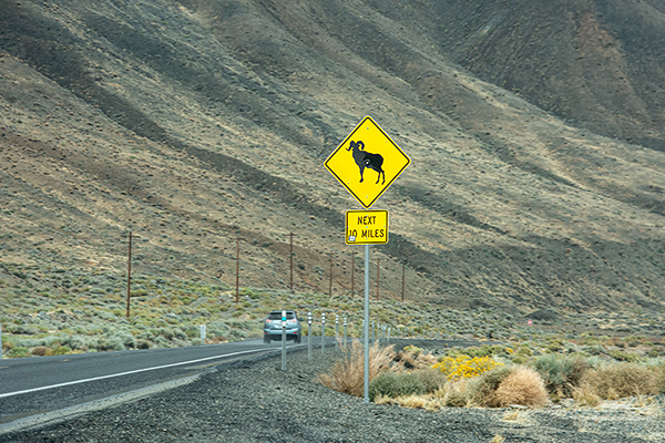 USA, Nevada, Straßenschild Bighorn, Walker Lake