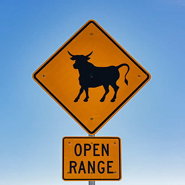 USA, Nevada, Straßenschild Open Range