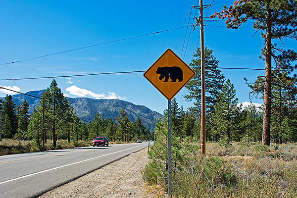 USA, Kalifornien, Straßenschild Bären