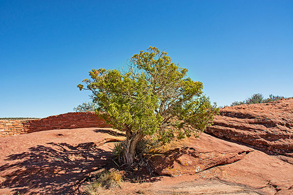 Arizona - Canyon de Chelly, Nationalpark