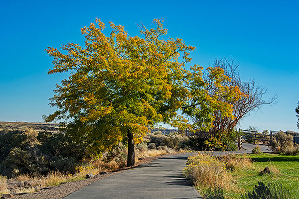 Twin Falls, Idaho