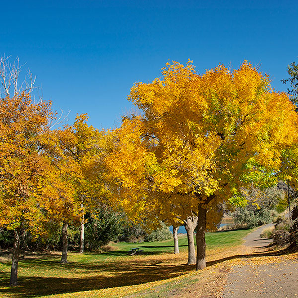 Idaho - Dierkes Lake, Twin Falls