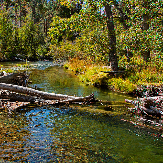 Kalifornien - Lake Tahoe, Rainbow Trail