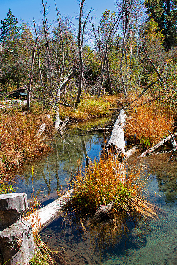 Kalifornien - Lake Tahoe, Rainbow Trail