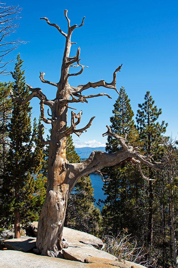 Kalifornien - Lake Tahoe, Cascade Falls