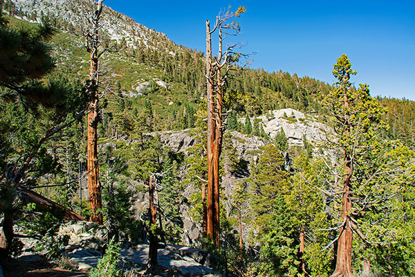 Kalifornien - Lake Tahoe, Lower Eagle Falls