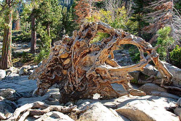 Kalifornien - Lake Tahoe, Lower Eagle Falls