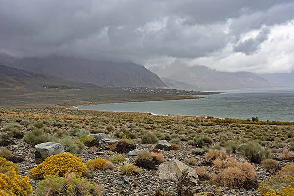 Nevada - Walker Lake