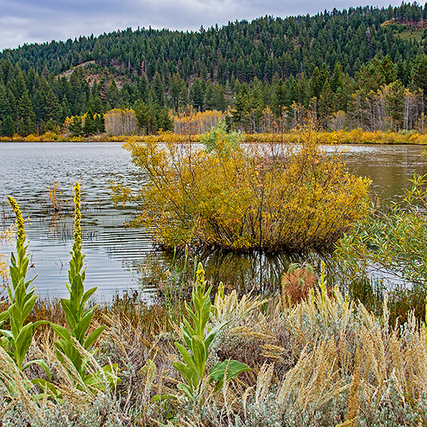 Nevada - Spooner Lake