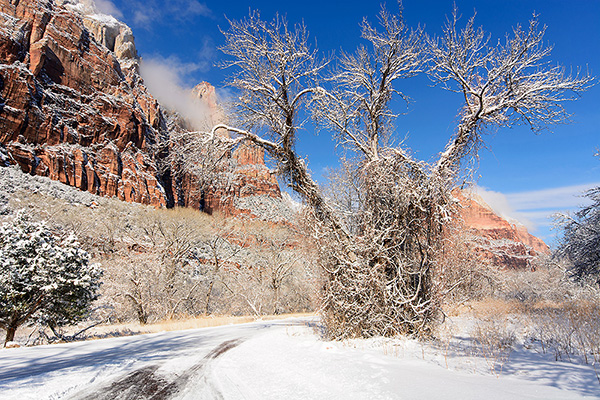 Utah - Zion Nationalpark/Winterimpressionen
