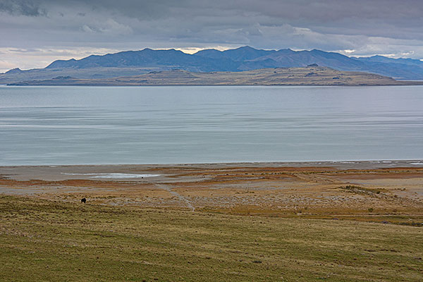 Utah - Antelope Island Statepark